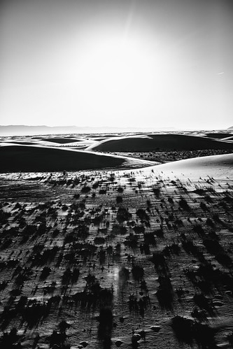 I Didn't Care, But Now I Can See by Thomas Hawk, america donaanacounty newmexico usa unitedstates unitedstatesofamerica whitesands whitesandsnational