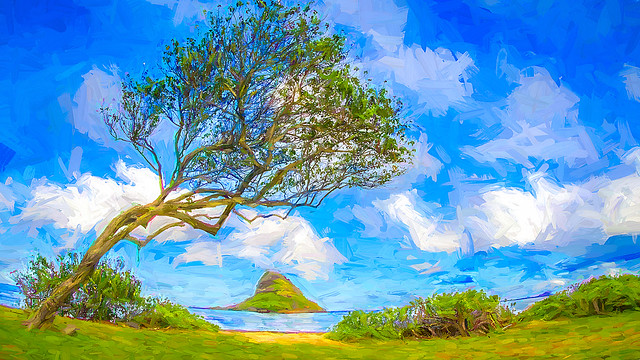 Tree by the Sea Looking at an Island