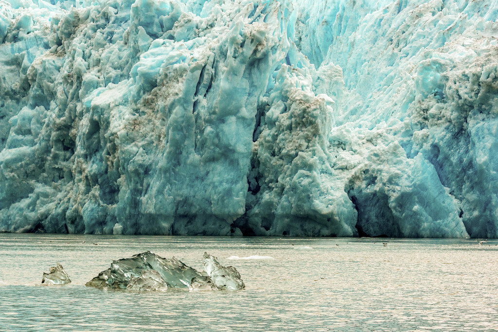 Small Iceberg Floating past End of Glacier – Alaska 83