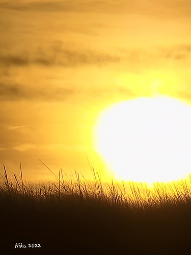 Long Beach, Washington by A Blink of an Eye, Sunrise 2022