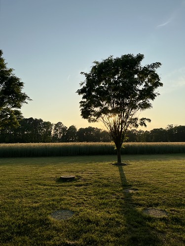 The Inn at Huntingfied Creek by Vernon Brad Bell, sunset rockhall maryland