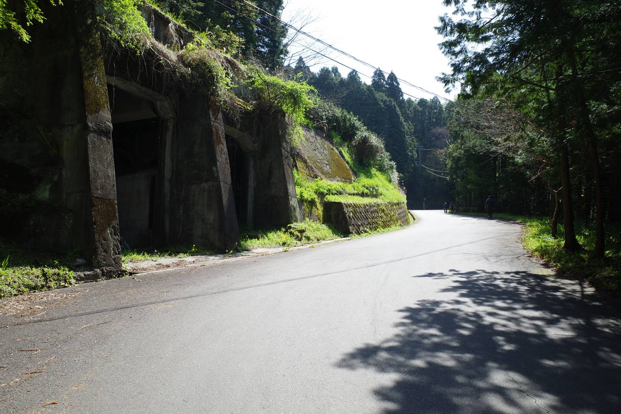 【丹沢】大野山 桜とミツマタ咲く春の登山