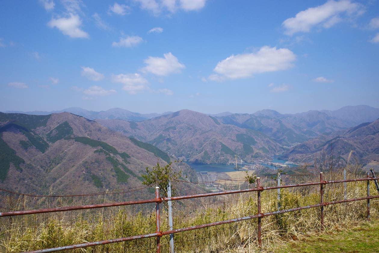 【丹沢】大野山 桜とミツマタ咲く春の登山 山頂からの丹沢湖