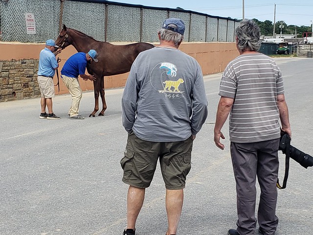 At the 2yo sale. Photo by The Racing Biz.
