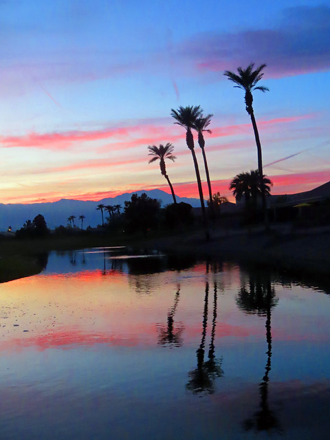 Evening Sunset, Palm Desert, California
