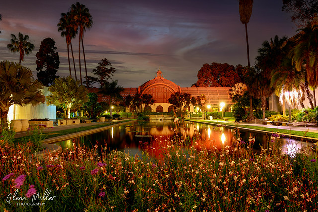 Botanical Garden at Night