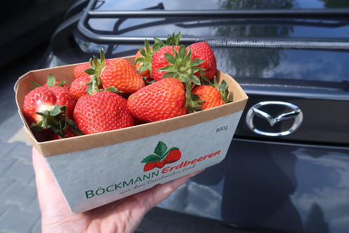 800g Schale Erdbeeren von Böckmann