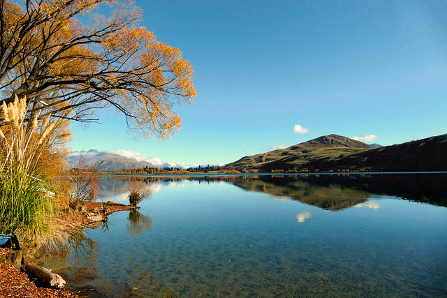Lake Hays Otago.