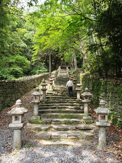 Hyakugani Steps
