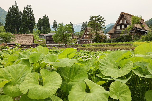 Historic Village of Ainokura