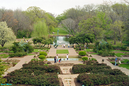 2004 garden spring pond texas botanicalgarden rosegarden fortworth