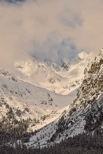 Wintry and misty High Tatras II