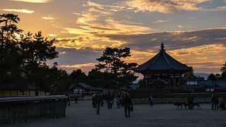 Sunset, Nara, 20191113