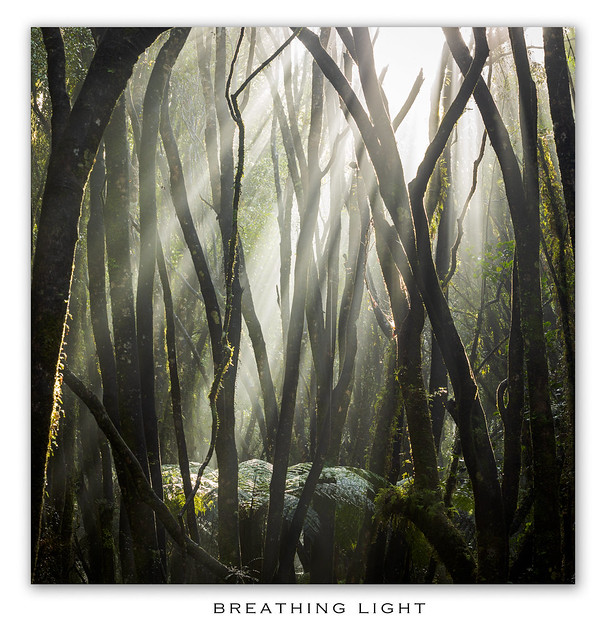 Breathing Light