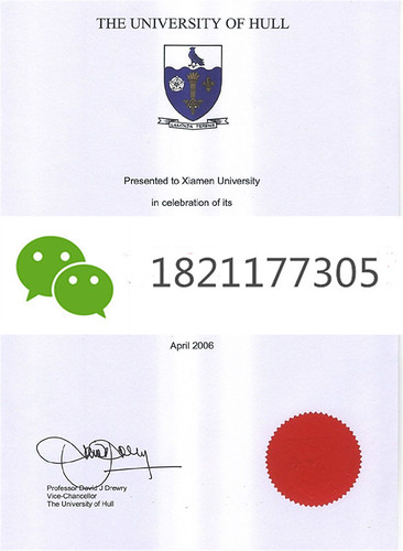 英国赫尔大学2006年毕业证 | 相片擁有者 zhang99428chao