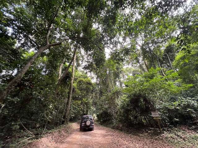 4x4 en el Parc National du Banco (Costa de Marfil)