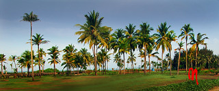 Phot.India.Goa.Arossim.Beach.Hyatt.01.030404.0183.jpg