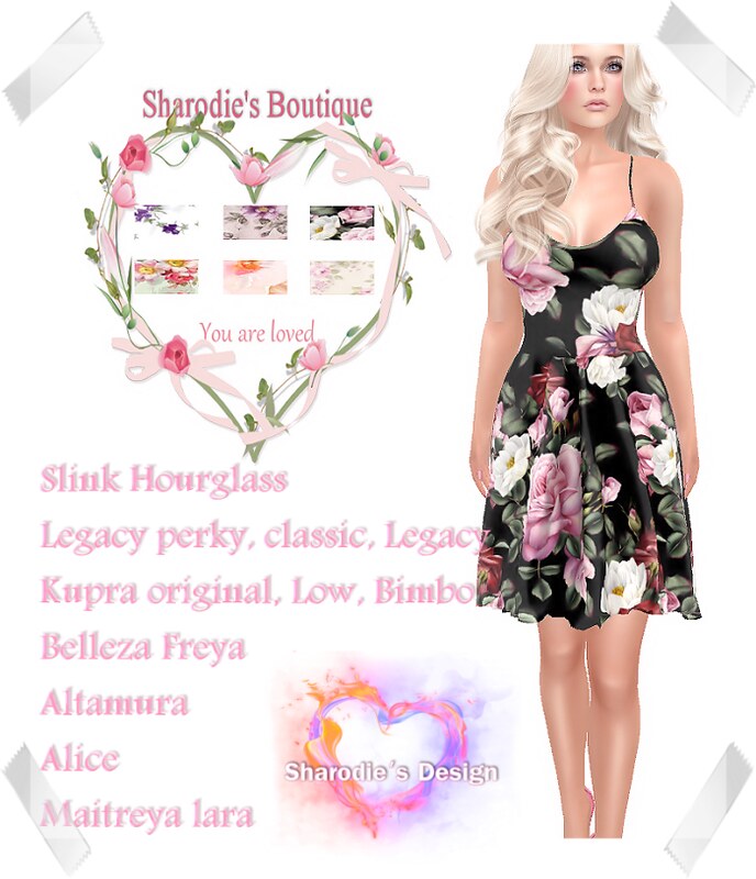 Bella dress with hud - poster