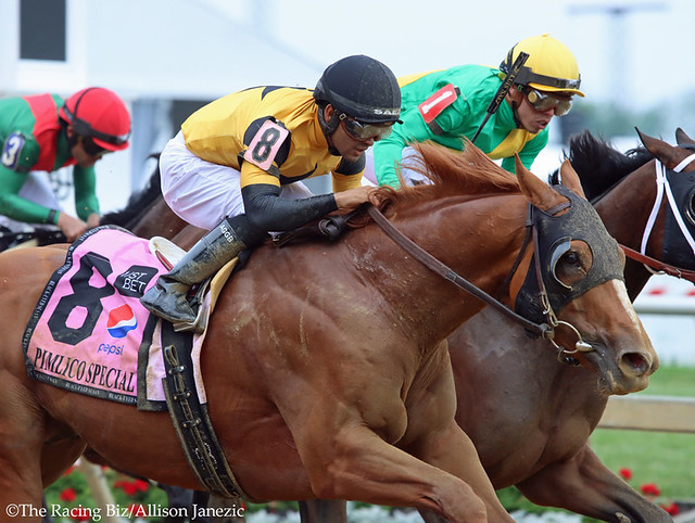 First Captain won the Pimlico Special. Photo by Allison Janezic.