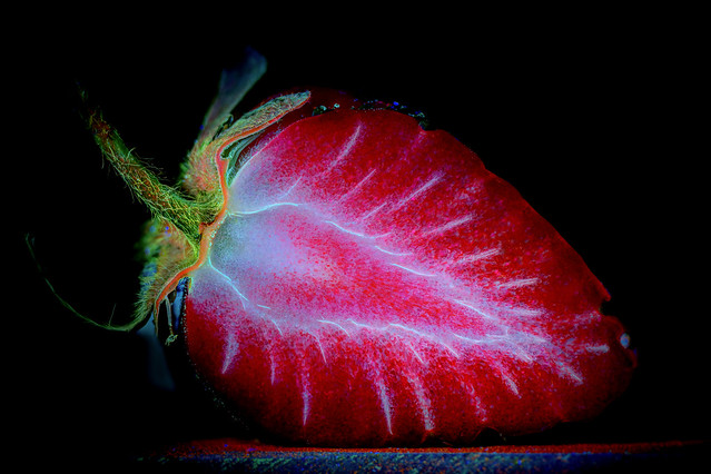 Strawberry. UVIVF. HDR.