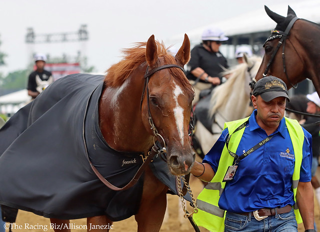First Captain won the Pimlico Special. Photo by Allison Janezic.