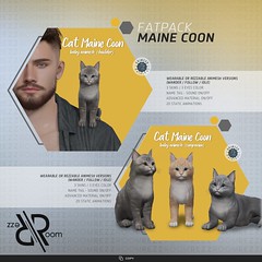 [Rezz Room] Cat Maine Coon Baby Animesh