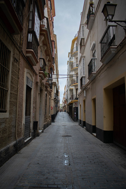 DSC_0156