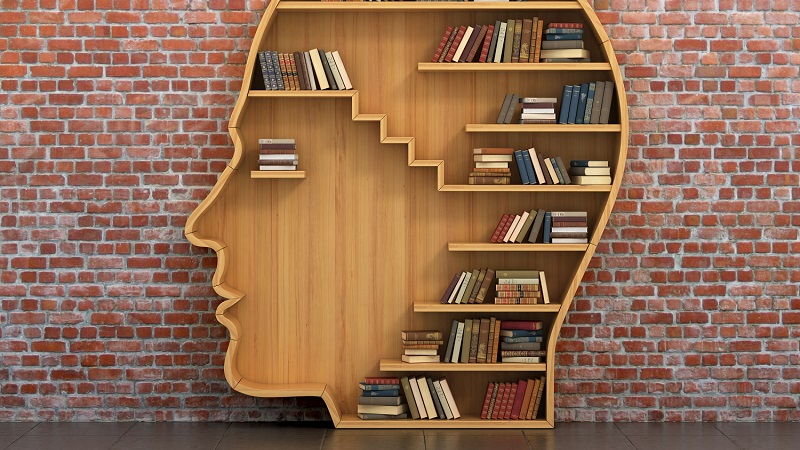 A human head shaped book case containing books against a brick wall