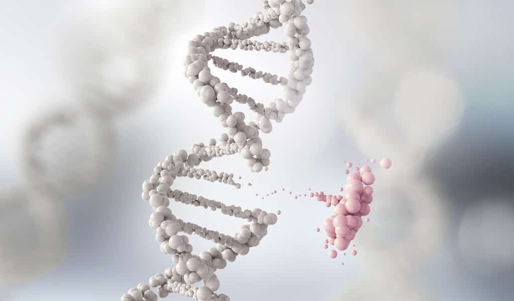 CRISPR-Combo-peut-éditer-plusieurs-gènes-à-la-fois