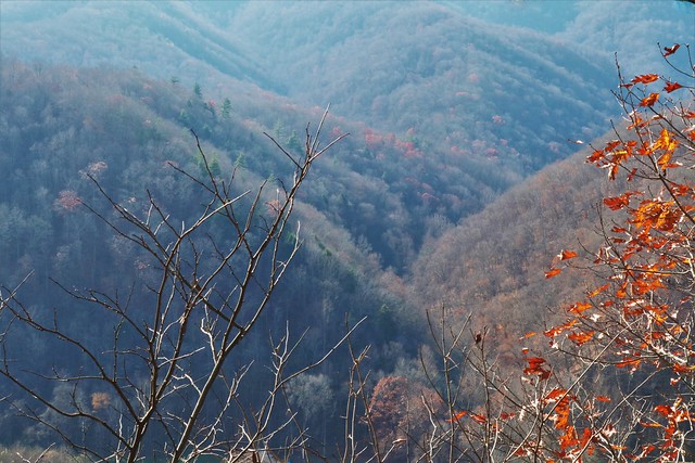 White Oak Mountain, West Virginia
