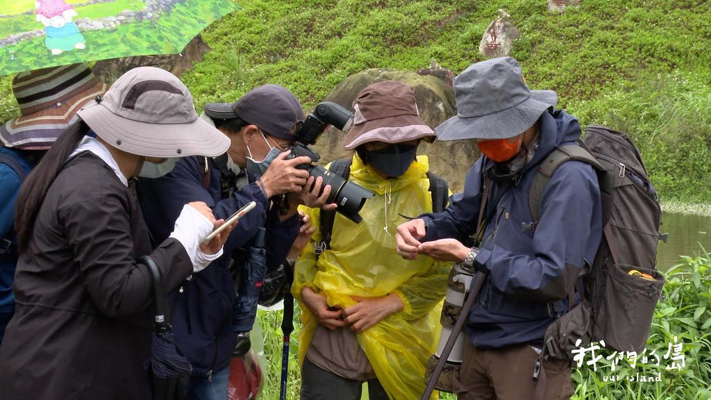 內湖社大邀請蜻蜓專家李宜龍帶領學員認識蜻蜓。
