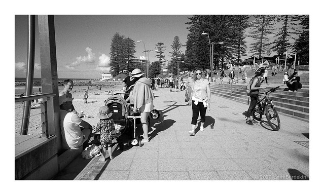 Dee Why beach, Sydney, spring 2020  #704 Explored