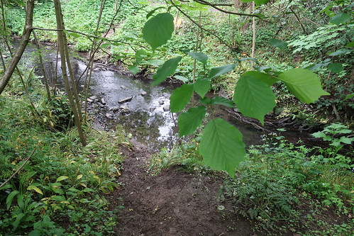 Hurley Brook