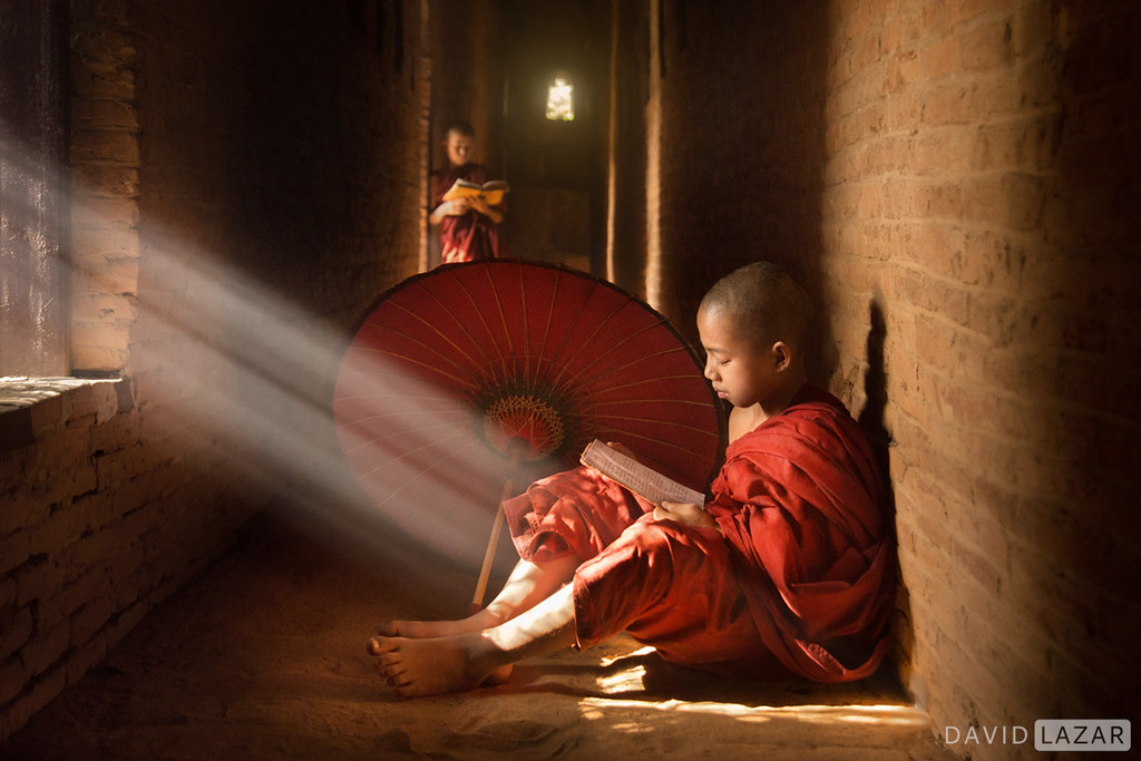 Monk and Light Rays