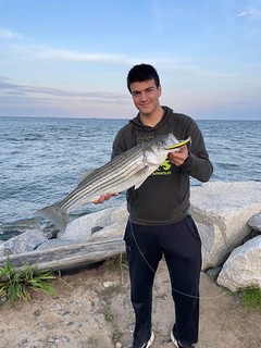 Photo of man holding a striped bass