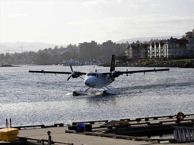 Landing in the Harbour