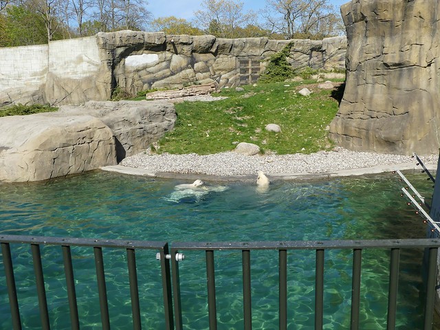 Zoo Rostock