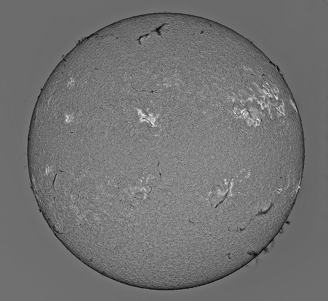 Sun in H-alpha 24_05_2022 PDT=11h43m56s ZWO ASI178MM Exposure=1_.2ms Gain=150 LUNT LS60MT-LS60FHa-LS50FHa Triple stacked ArcSinH Ps-BW