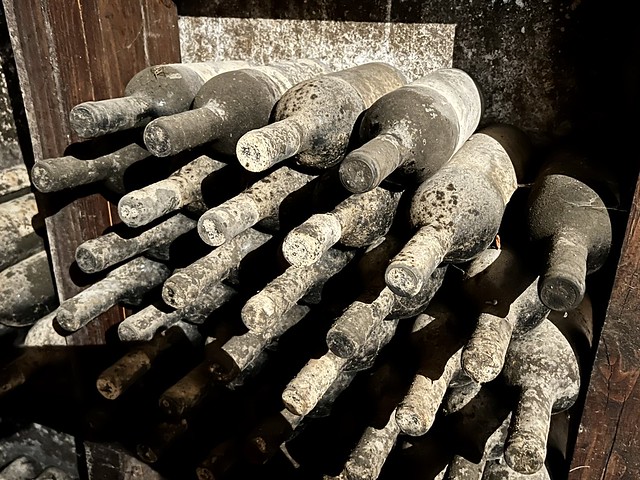 Bottles in the wine cellar