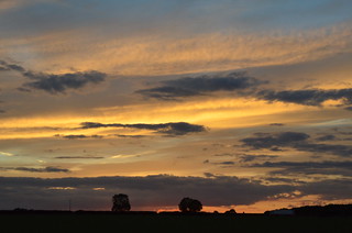 Evening sky over Breckland countryside, Norfolk
