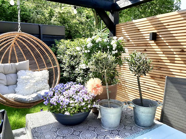Rotan hangstoel veranda zinken emmers met olijfboompjes lila violen