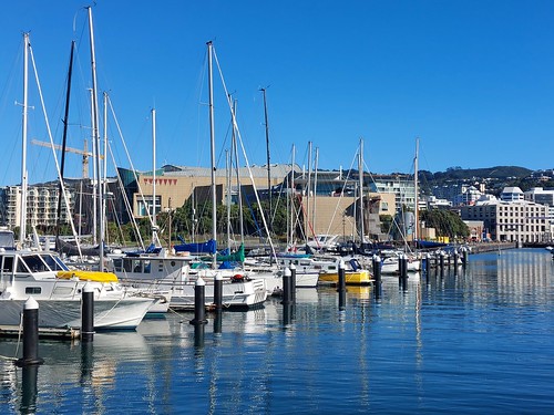<p>A beautiful afternoon down by the water at Chaffers Marina on the Wellington waterfront.</p>