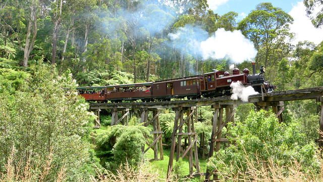 Puffing Billy (2 of 2)