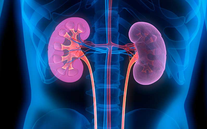 Sarawak allocates RM2.4 mn to help kidney patients
