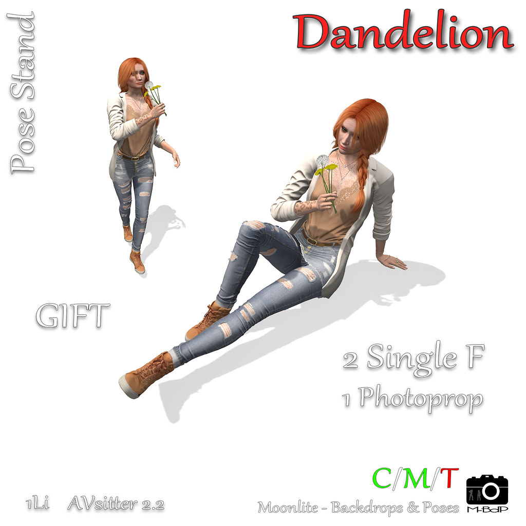 M-BdP :: Gift – Dandelion