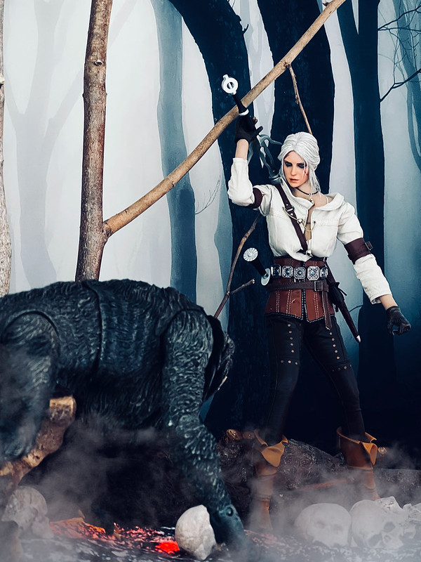 Ciri in the Skull Forest - Update May 27th 52101830781_0df40baac1_c
