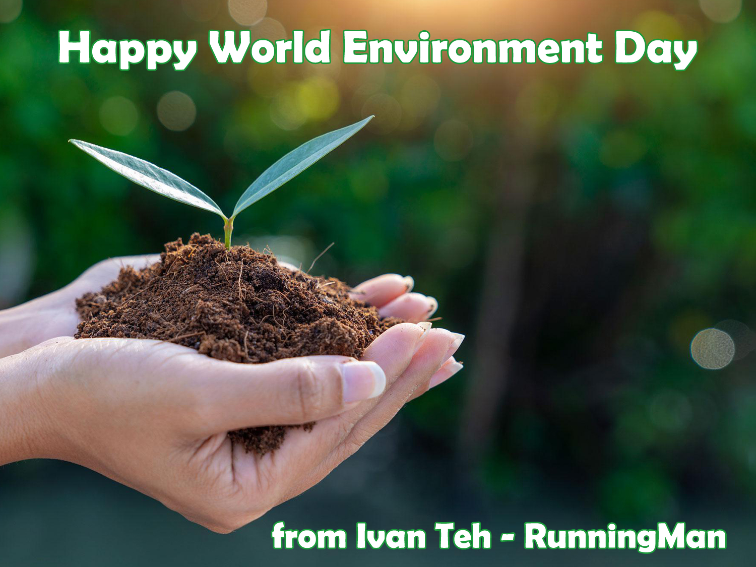 World Environment Day 2022