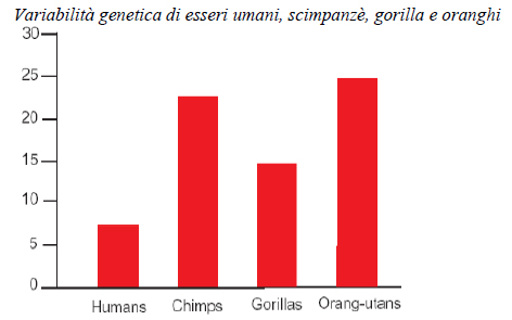 Variabilità genetica di esseri umani, scimpanzè, gorilla e oranghi