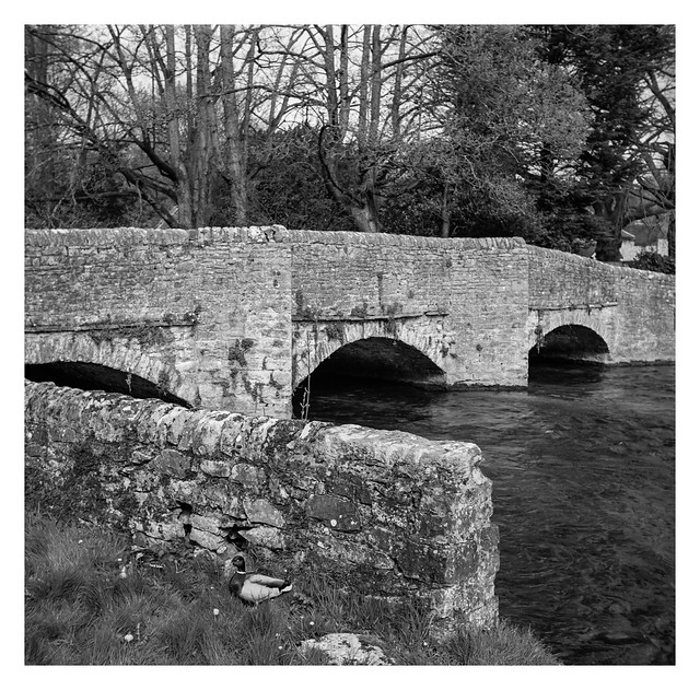 Packhorse bridge, Ashford-in-the-Water