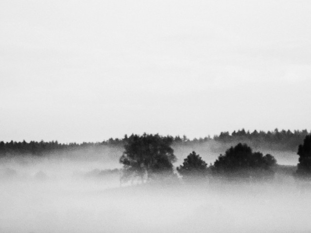 misty hills